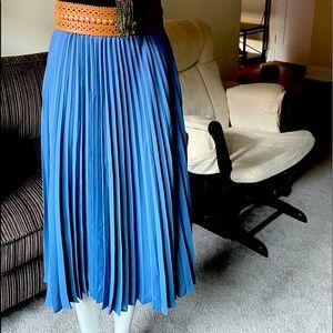 Banana Republic Blue Pleated Skirt